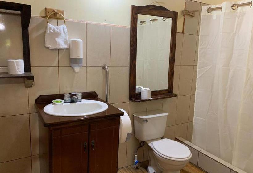 فندق Palenque Tarrazu