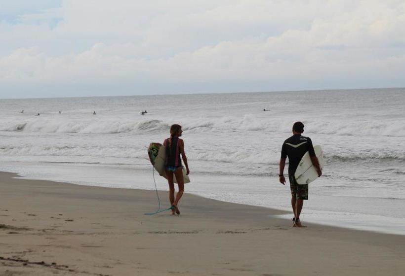 ホテル Papaya Surf