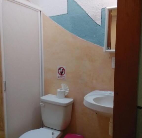 ホテル Papaya Surf