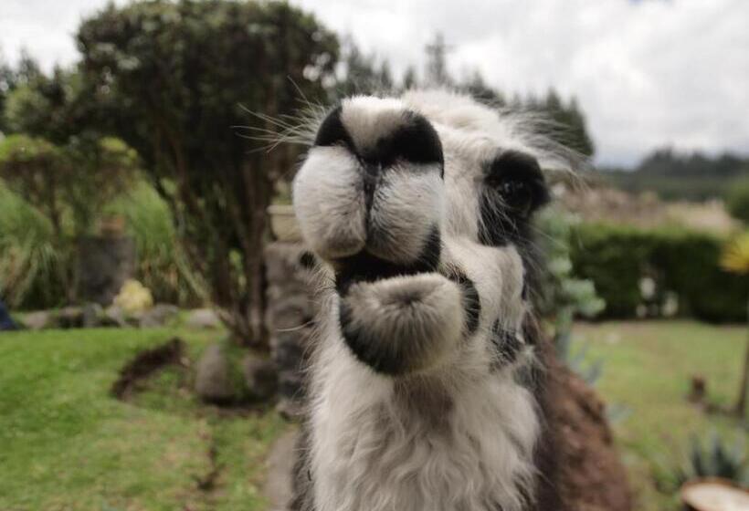 هتل Rondador Cotopaxi