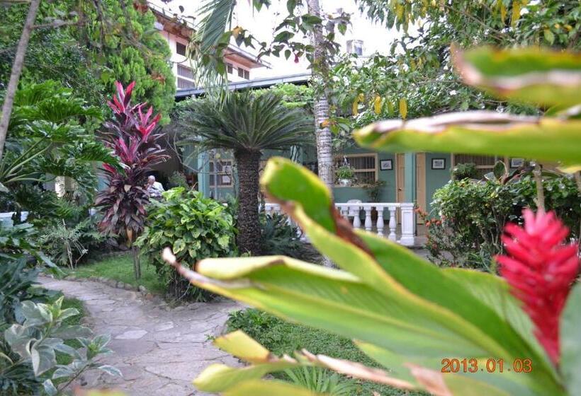 Отель Villa De Las Palmas