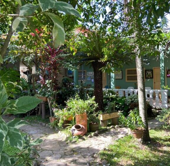 Отель Villa De Las Palmas