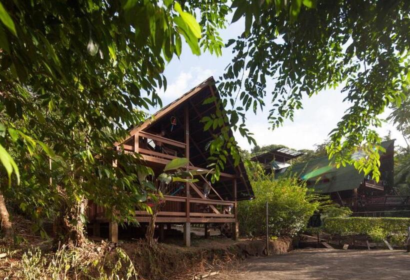 La Kuka Hotel   Nuquí