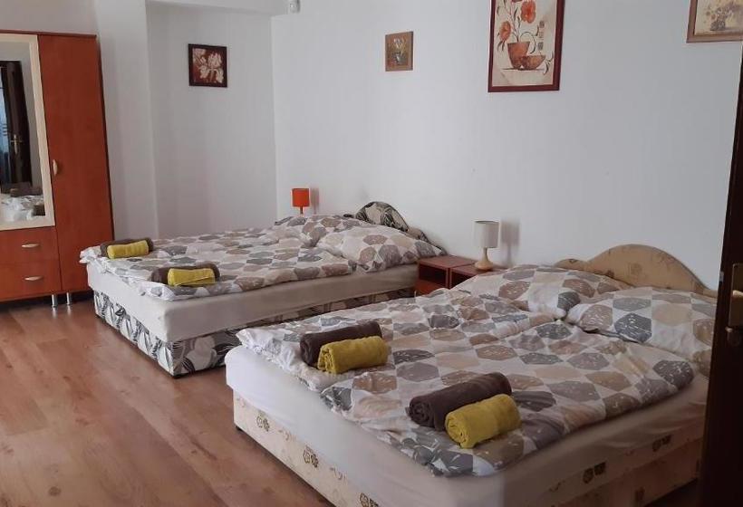 פנסיון Bajusz Vendégház