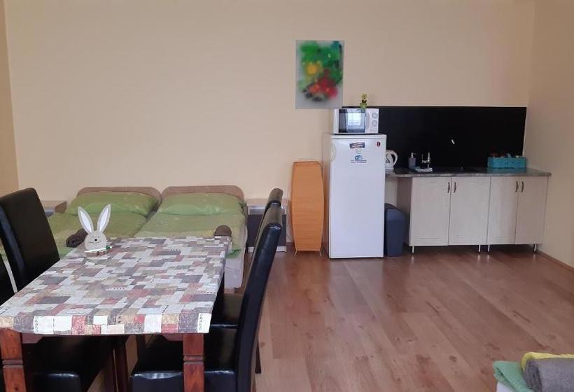 膳宿费 Bajusz Vendégház