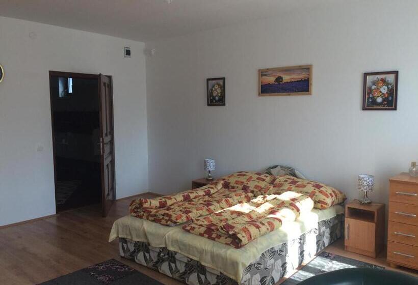 膳宿费 Bajusz Vendégház