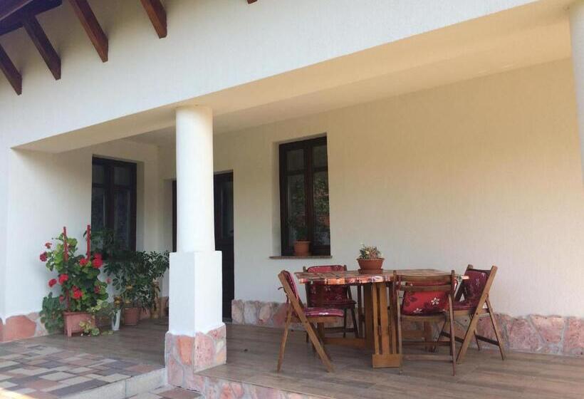 פנסיון Bajusz Vendégház