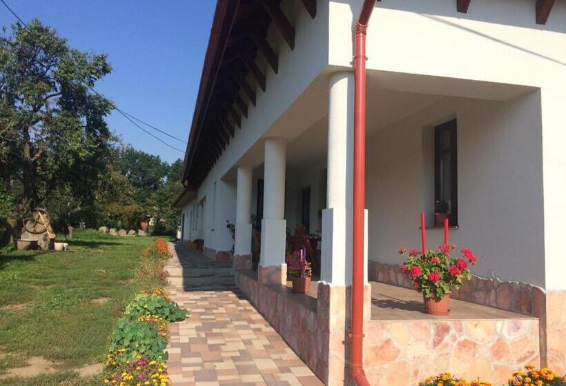 פנסיון Bajusz Vendégház