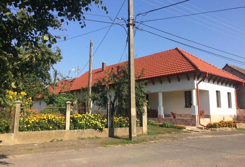 פנסיון Bajusz Vendégház