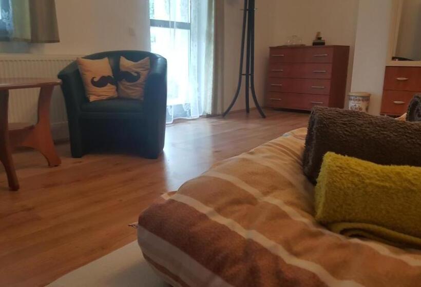 פנסיון Bajusz Vendégház