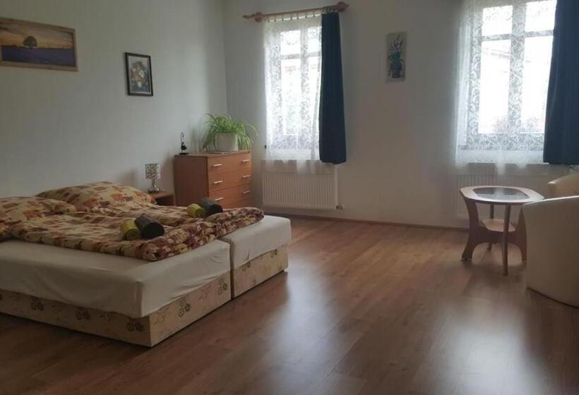 膳宿费 Bajusz Vendégház