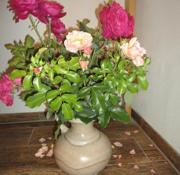 ペンション Balancehaus Kohren Sahlis, Dein Kurhaus In Sachsen