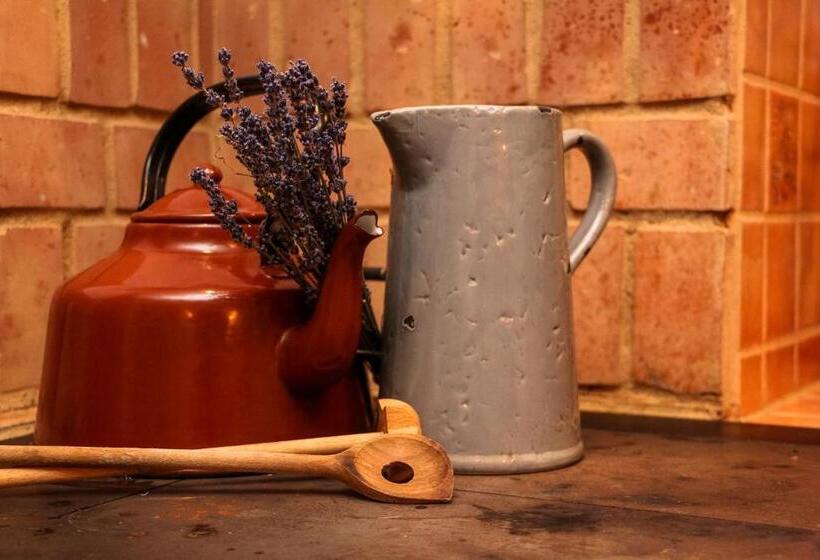 ペンション Balancehaus Kohren Sahlis, Dein Kurhaus In Sachsen