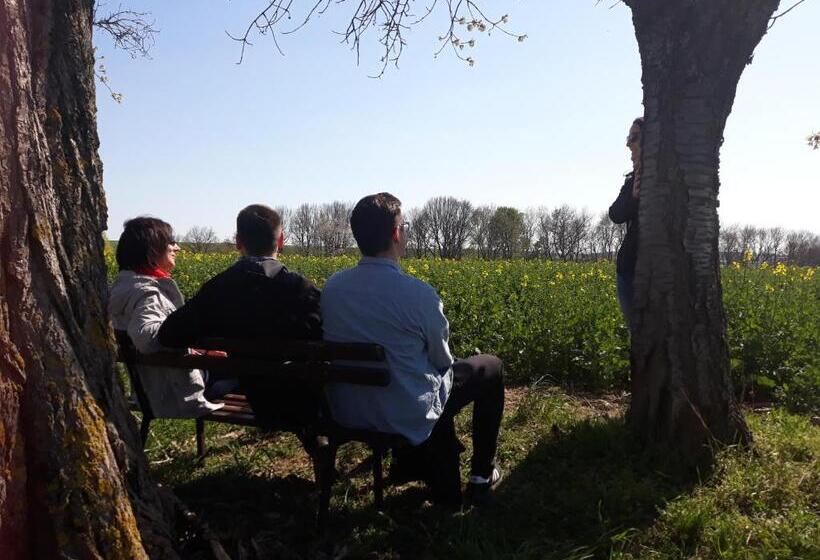 ペンション Balancehaus Kohren Sahlis, Dein Kurhaus In Sachsen
