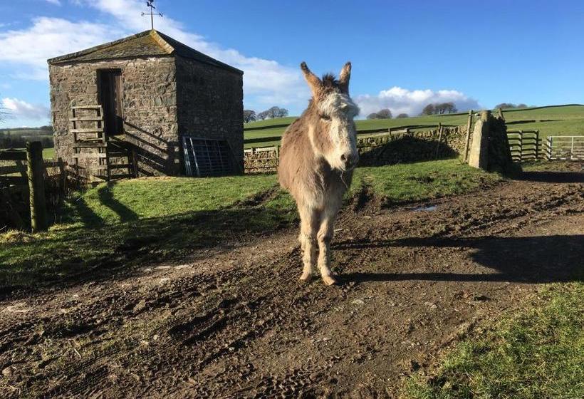 بنسيون Chipperkyle Country House B&b