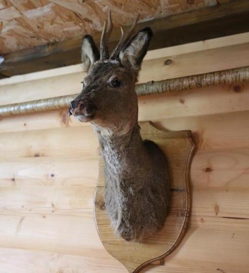 بنسيون Fazenda Kosiv