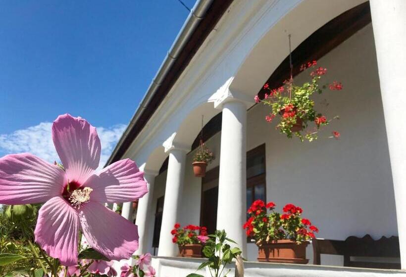 Пансион Heni Vendégháza