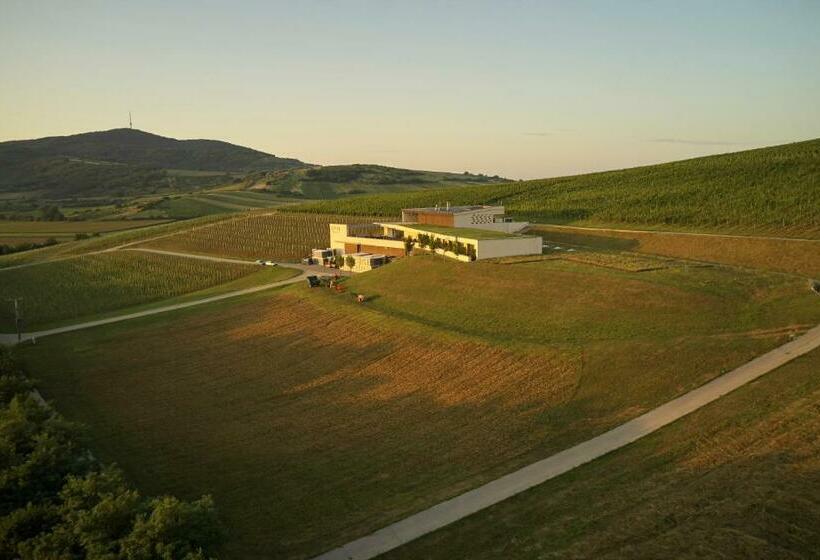 펜션 Henye Vendégház