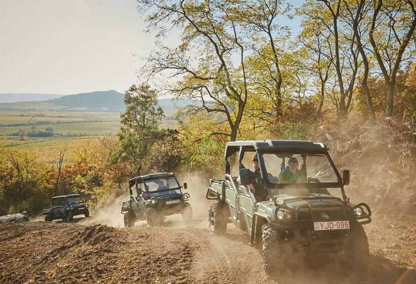 펜션 Henye Vendégház