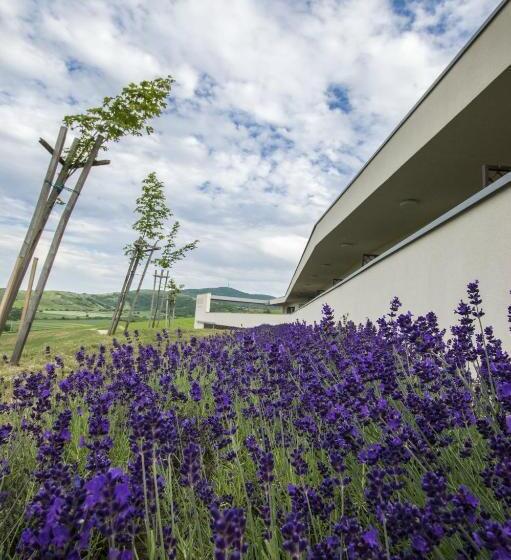 펜션 Henye Vendégház