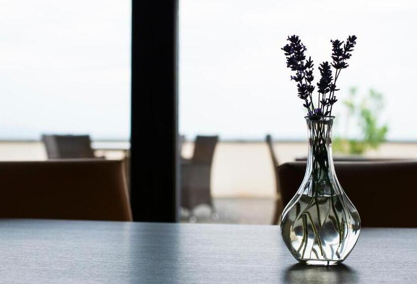 펜션 Henye Vendégház