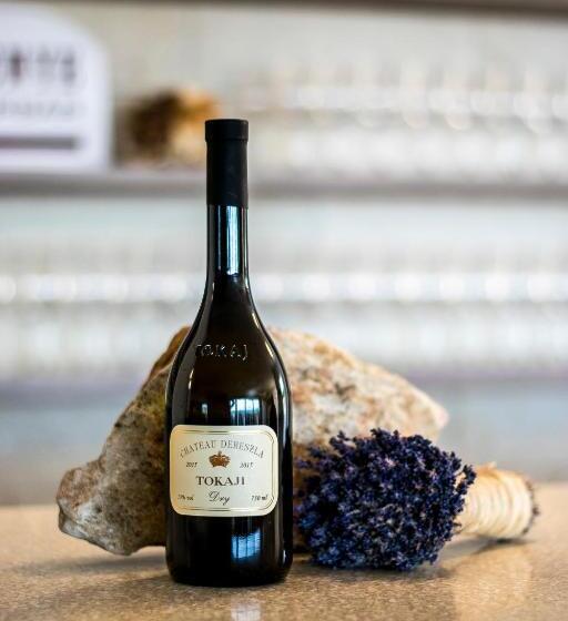 펜션 Henye Vendégház