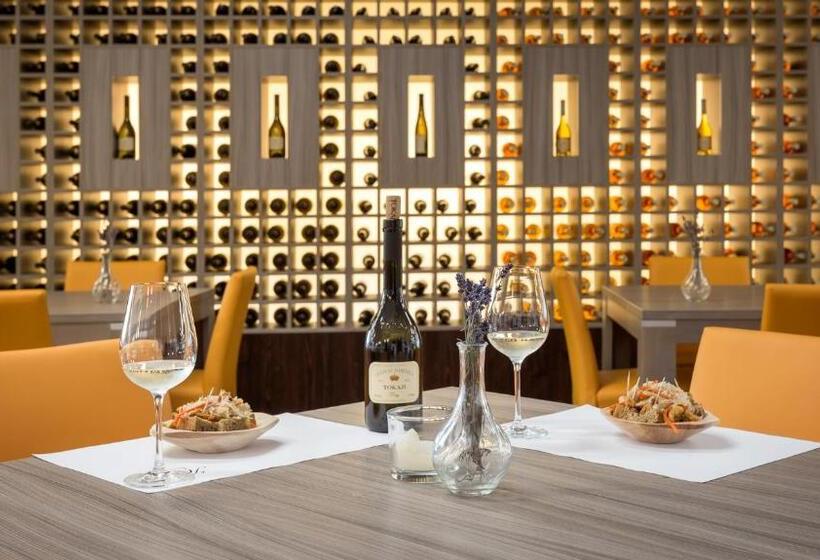 펜션 Henye Vendégház