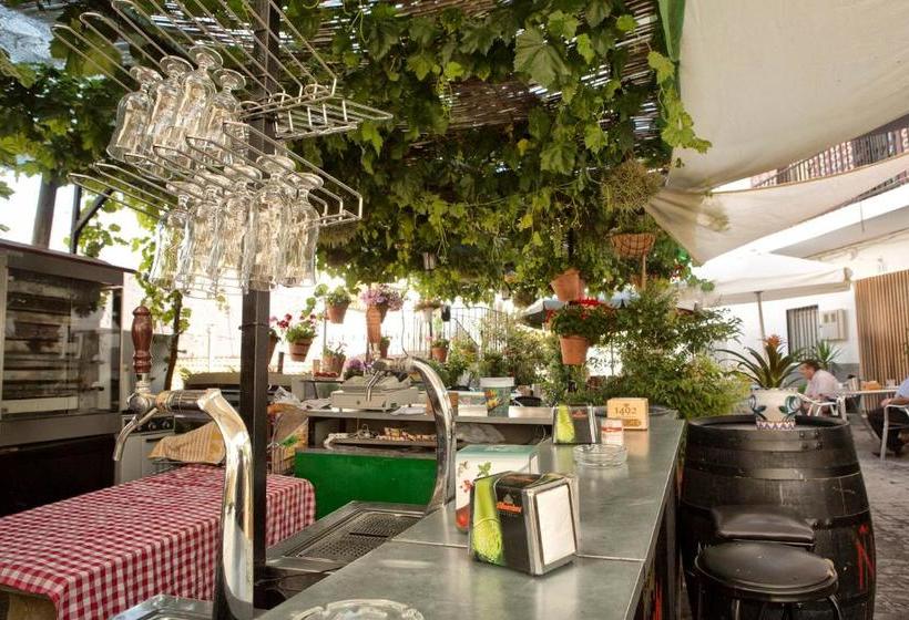 ペンション Hostal Soledao