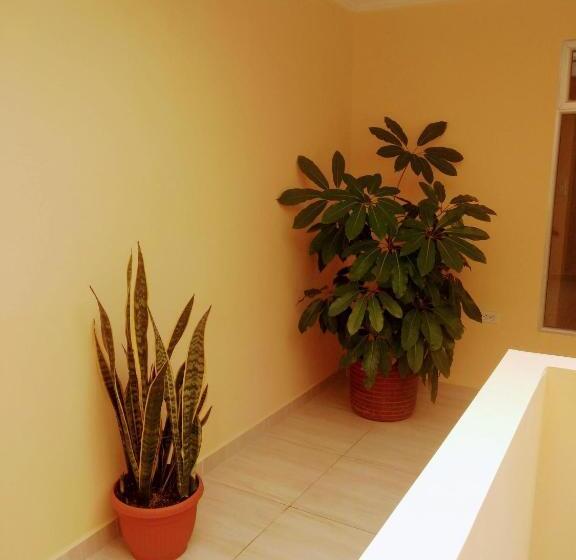 بنسيون Hostal Viyaje