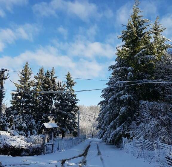 膳宿费 Hétházpuszta Erdészlak