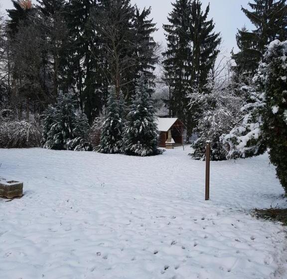 膳宿费 Hétházpuszta Erdészlak