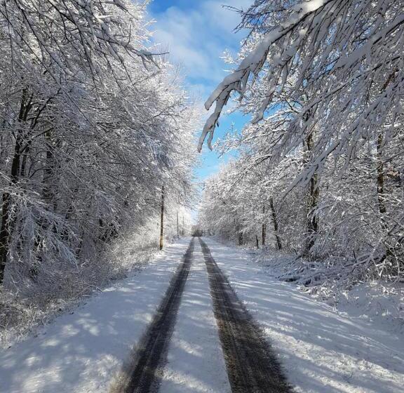 膳宿费 Hétházpuszta Erdészlak