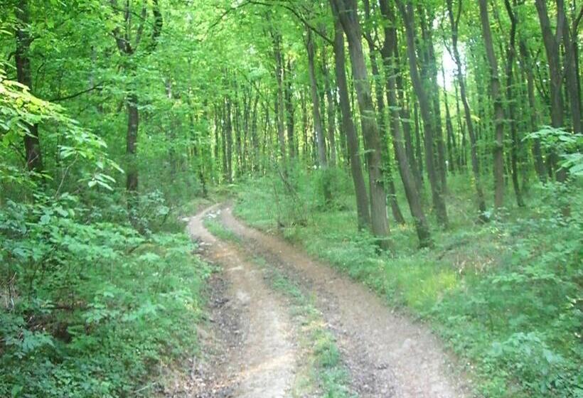 膳宿费 Hétházpuszta Erdészlak