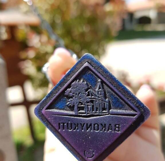 بنسيون Kúti Vendégház