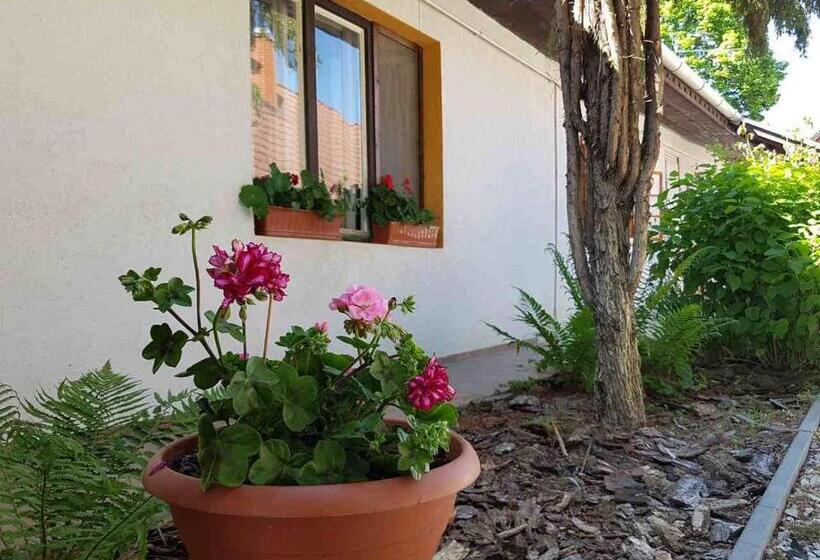 بنسيون Kúti Vendégház