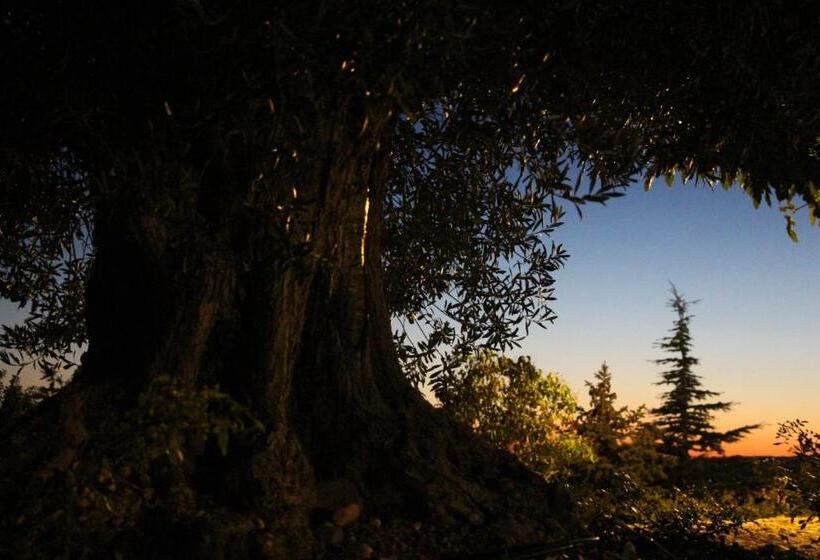 Пансион La Campagne De Petre