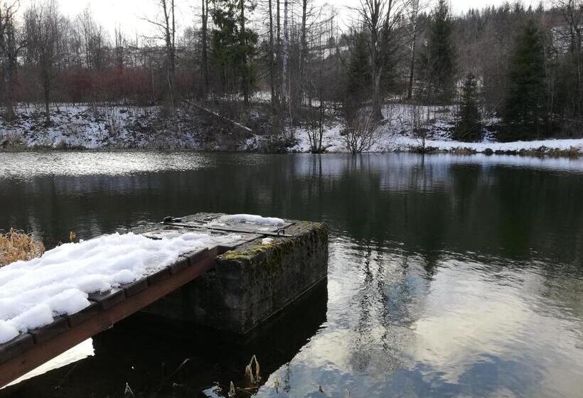 פנסיון Penzion Edelštejn