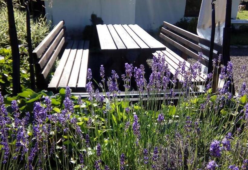 ペンション Penzion Edelštejn