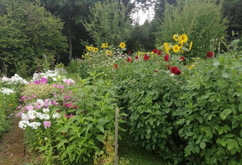 بنسيون Penzion Nadějov