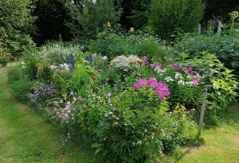 بنسيون Penzion Nadějov