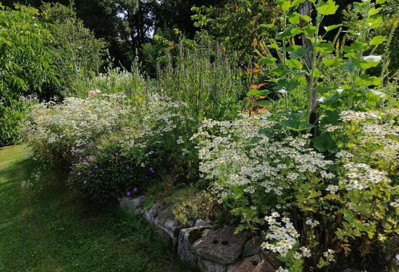 بنسيون Penzion Nadějov