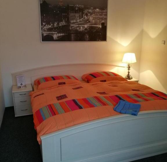 بنسيون Penzion U Krtka