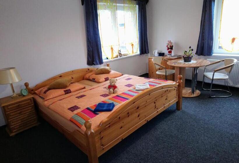 بنسيون Penzion U Krtka