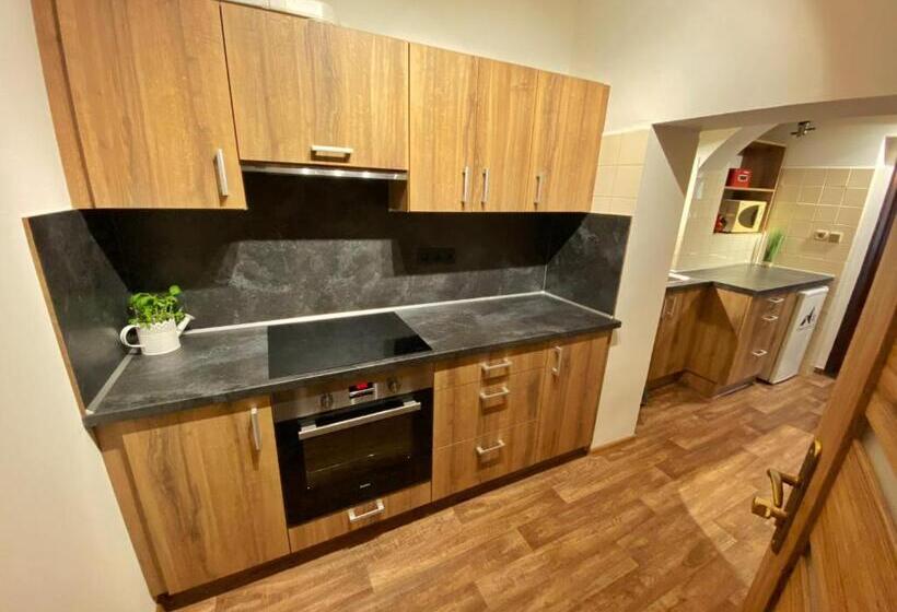 Пансион Penzion V Horách