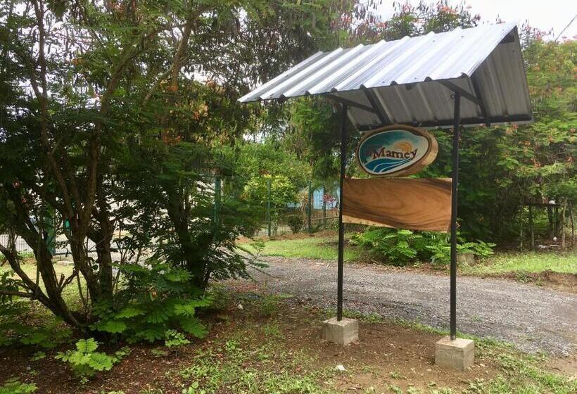 پانسیون Quinta El Mamey