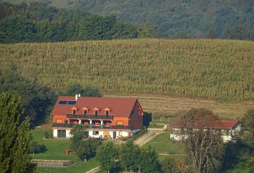 Panzió Rejtek Vendégház