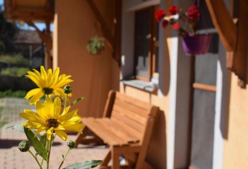 פנסיון Tiszafa Vendégház Szentgál