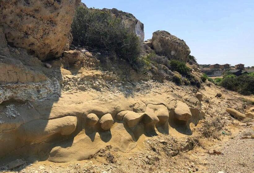 פנסיון Zambak Holiday Village