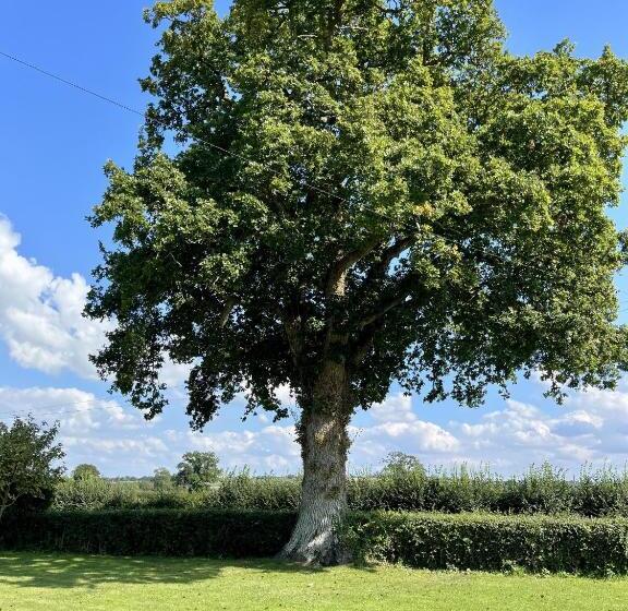 ベッドアンドブレックファースト Priors Oak   A Cosy Studio With Countryside Views In Dorset