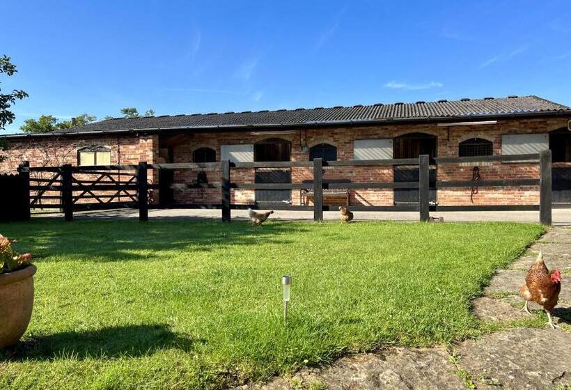 住宿加早餐 Priors Oak A Cosy Studio With Countryside Views In Dorset